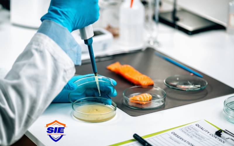 Thử nghiệm thực phẩm