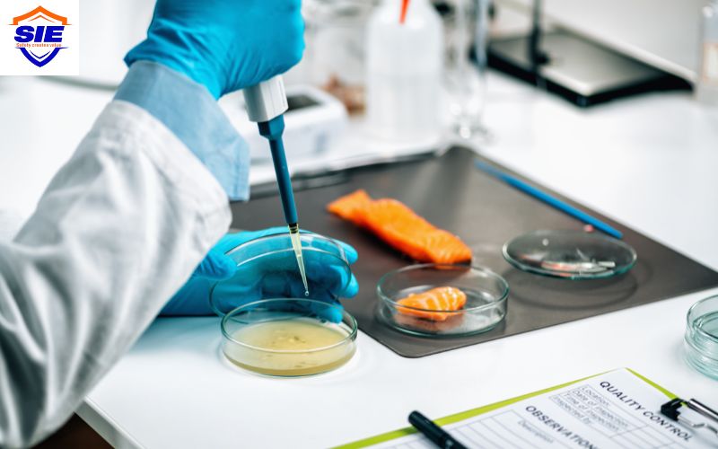 Các hình thức công bố an toàn thực phẩm