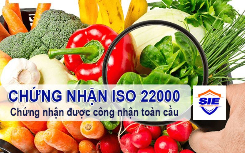 Chứng nhận ISO 22000_2018 Hệ thống an toàn thực phẩm