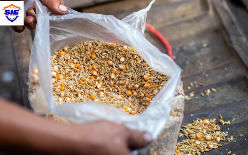 Chứng nhận hợp quy thức ăn chăn nuôi 