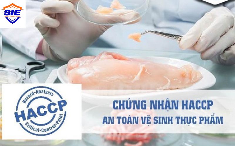 Quy trình đánh giá cấp giấy chứng nhận HACCP