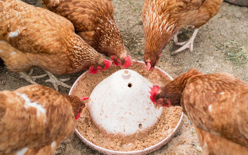 Đối với sản phẩm được sản xuất trong nước