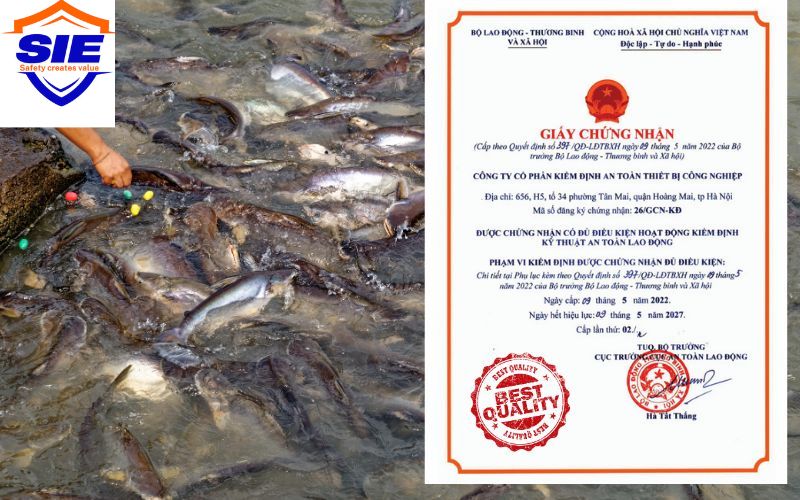 Tổ chức cấp giấy chứng nhận nguyên liệu thức ăn thủy sản