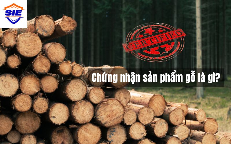 Khẳng định chất lượng sản phẩm với chứng nhận gỗ và sản phẩm gỗ