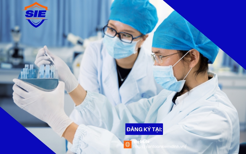 Kiểm định chất lượng