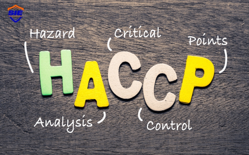 Nội dung khóa học chuyên gia đánh giá nội bộ hệ thống HACCP